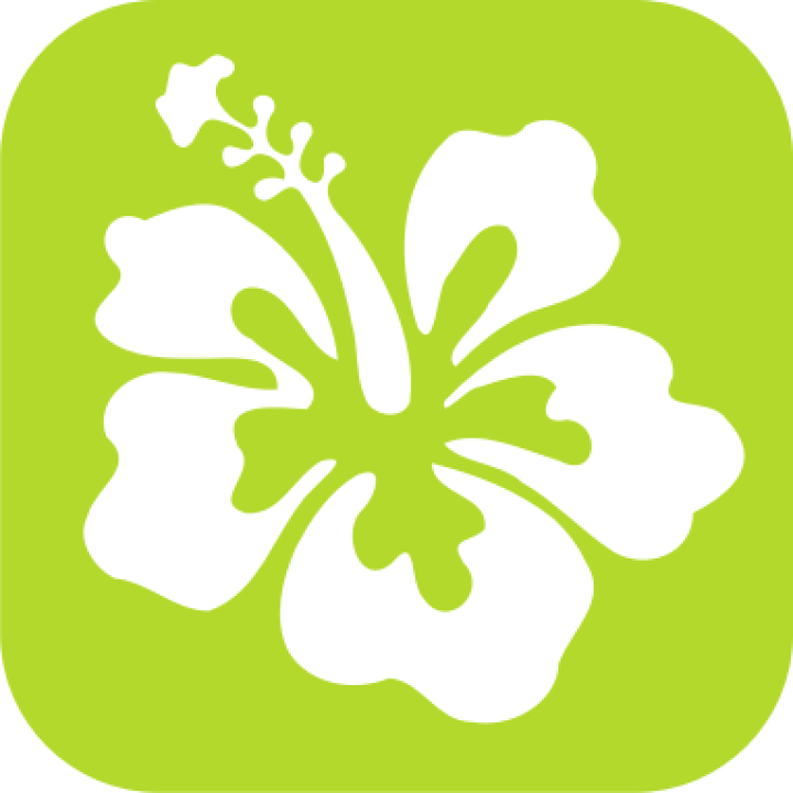 226082-four-seasons spring